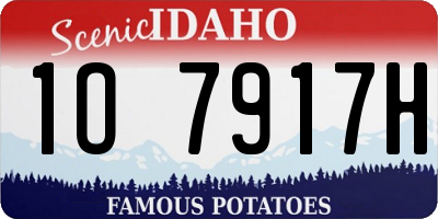 ID license plate 1O7917H