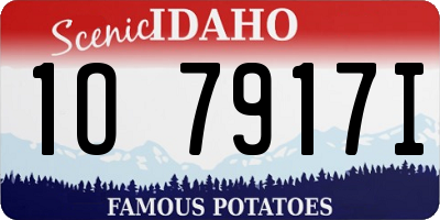 ID license plate 1O7917I