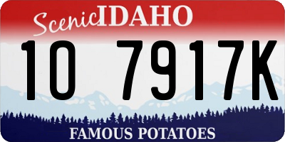 ID license plate 1O7917K
