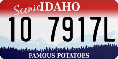 ID license plate 1O7917L