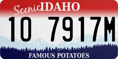 ID license plate 1O7917M