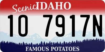 ID license plate 1O7917N