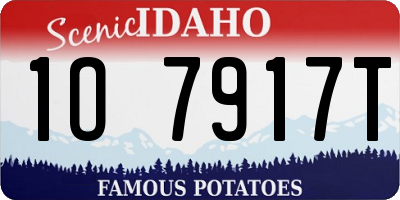 ID license plate 1O7917T