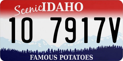 ID license plate 1O7917V