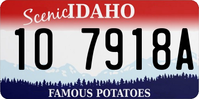 ID license plate 1O7918A