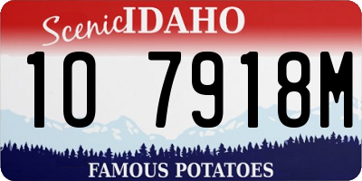 ID license plate 1O7918M