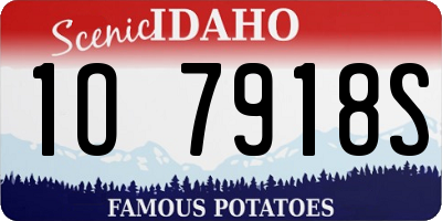 ID license plate 1O7918S