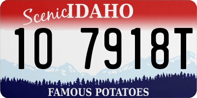 ID license plate 1O7918T