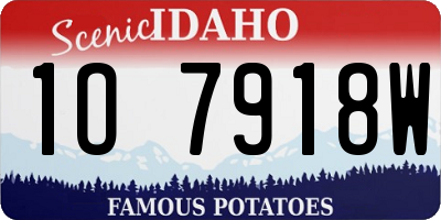 ID license plate 1O7918W