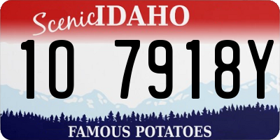 ID license plate 1O7918Y