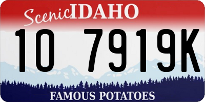 ID license plate 1O7919K