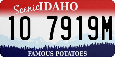 ID license plate 1O7919M
