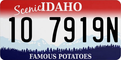 ID license plate 1O7919N