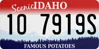ID license plate 1O7919S