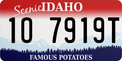 ID license plate 1O7919T