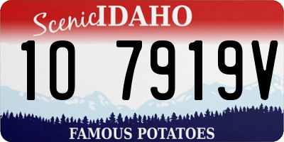 ID license plate 1O7919V