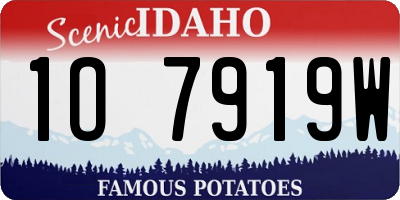 ID license plate 1O7919W