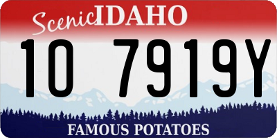 ID license plate 1O7919Y
