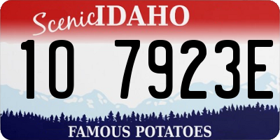 ID license plate 1O7923E
