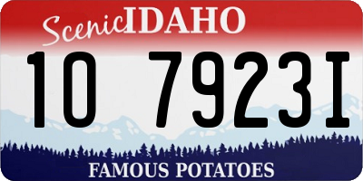ID license plate 1O7923I