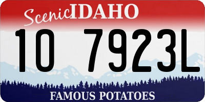 ID license plate 1O7923L
