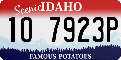 ID license plate 1O7923P