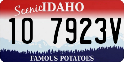 ID license plate 1O7923V