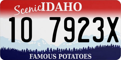 ID license plate 1O7923X