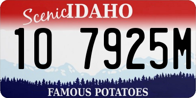 ID license plate 1O7925M