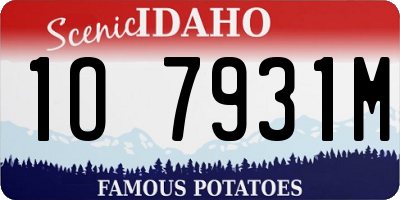 ID license plate 1O7931M