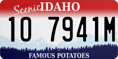 ID license plate 1O7941M