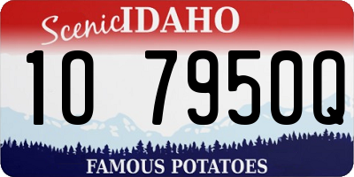 ID license plate 1O7950Q