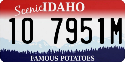 ID license plate 1O7951M