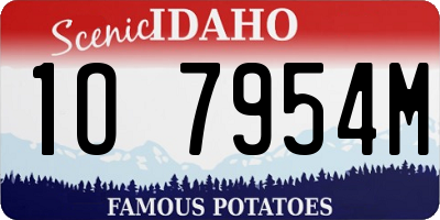 ID license plate 1O7954M