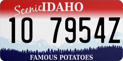 ID license plate 1O7954Z