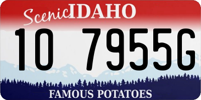 ID license plate 1O7955G