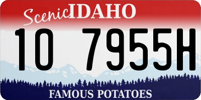 ID license plate 1O7955H