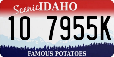 ID license plate 1O7955K