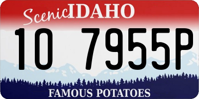 ID license plate 1O7955P