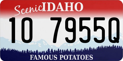 ID license plate 1O7955Q