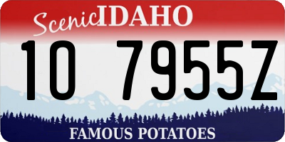 ID license plate 1O7955Z