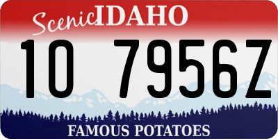 ID license plate 1O7956Z