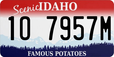 ID license plate 1O7957M