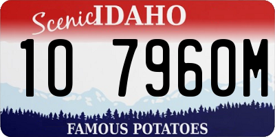 ID license plate 1O7960M
