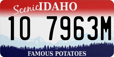 ID license plate 1O7963M