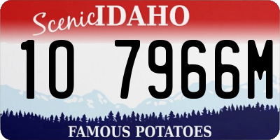 ID license plate 1O7966M