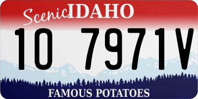 ID license plate 1O7971V