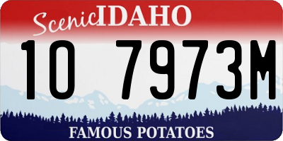 ID license plate 1O7973M