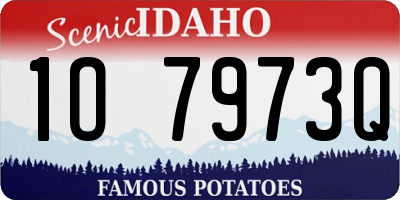 ID license plate 1O7973Q