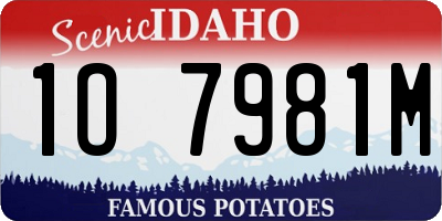 ID license plate 1O7981M